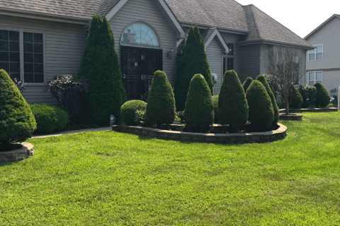a house with a lawn and a lawn with trees