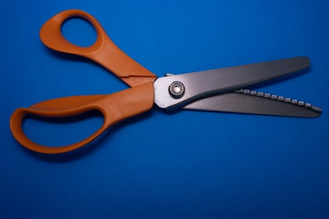 Picking Shears stock image tiracooks