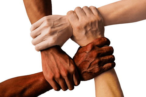 An image of diverse teams working togather hand in hand