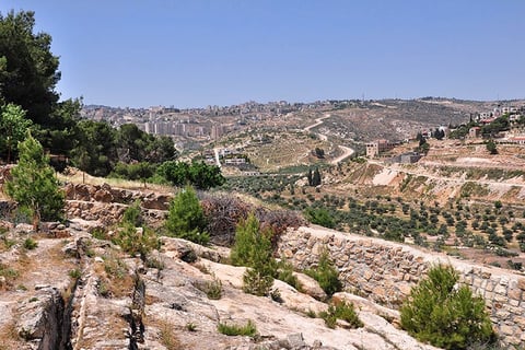 Shepherd's Fields today