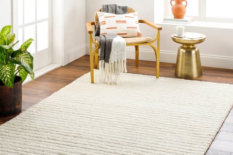Neutral rug 