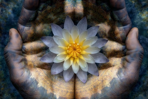 a person holding a flower in their hands