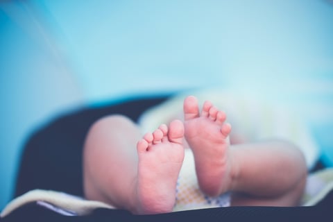ensaio new born