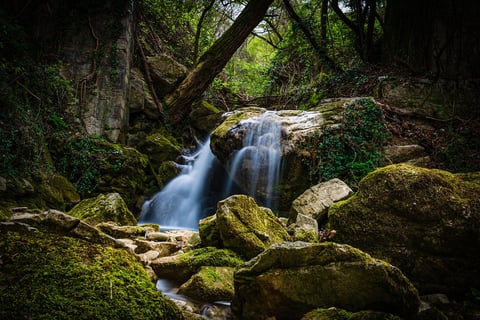 foto fine art natureza