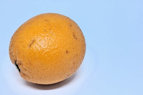 foto still laranja celular