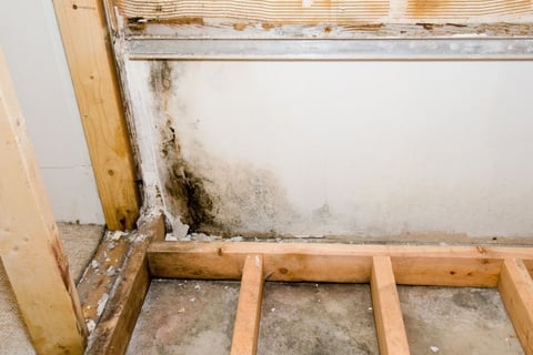 structural damage from mold and moisture