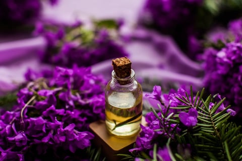 lavender oil