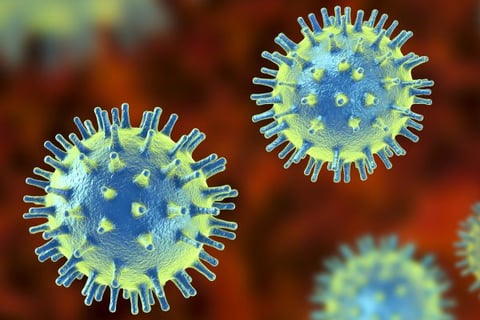 virus