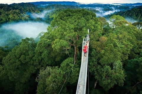 monteverde zip-lining, monteverde views, mirador monteverde,