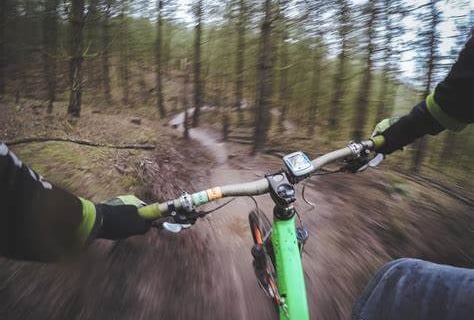 first person bike riding through a forest