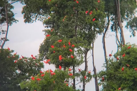Rotta delle Emozioni - Parnaìba
