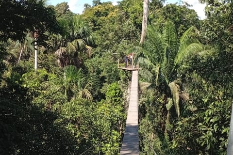 canopy walk e zip-line nella tambopata national reserve