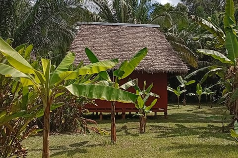 dove si dorme durante un tour in Amazzonia