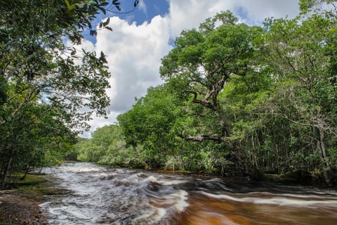 Cosa fare e vedere a Manaus