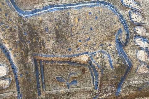 Deer, Pakhi Pahar