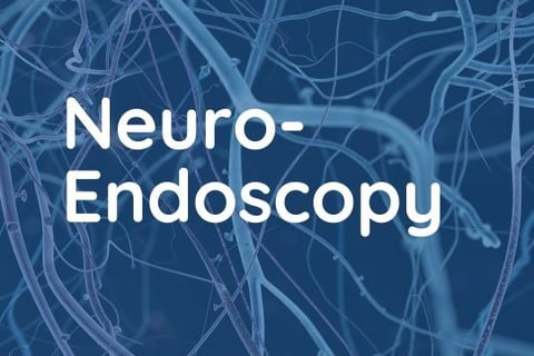 image neuro-endoscopy