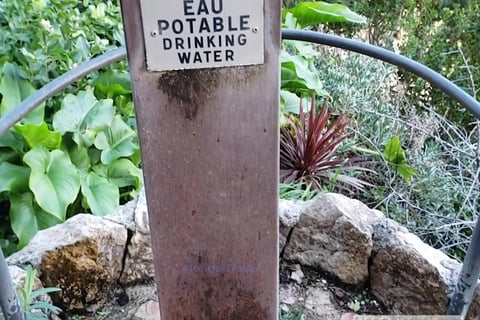 a fountain with drinking water in exotic garden