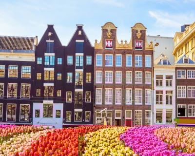 Amsterdam - a flower bed of tulips in front of a building