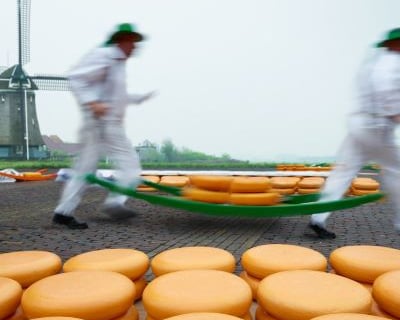 Dutch cheese