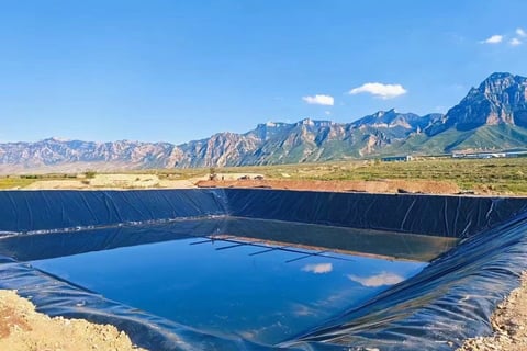Geomembrane