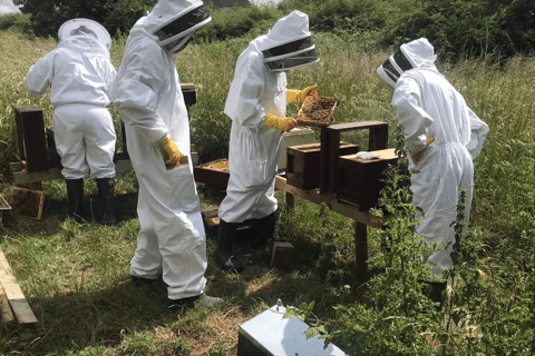 Beekeeping Lincolnshire