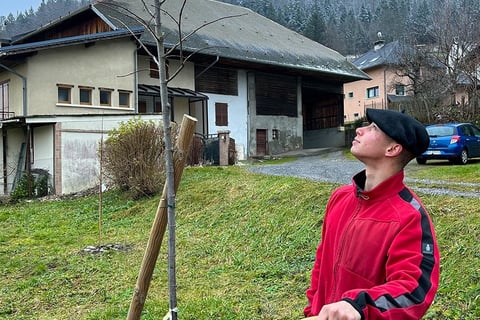 Paysagiste en veste rouge plantant un jeune arbre avec un tuteur en bois