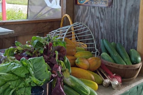 fresh vegetables in the farm stand