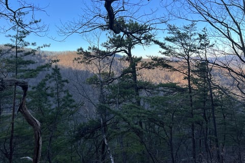 view of mountain from spec mine trail