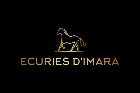 écuries d'Imara reconversion chevaux à vendre