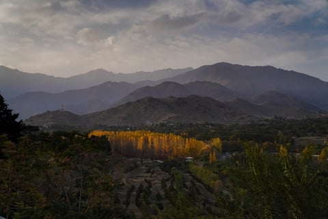 View across valley with mountains in the background and orange trees in the midground