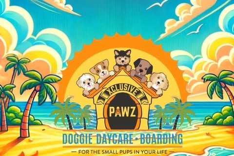 sun beach dogs