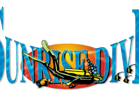 Sunrise Dive Bali logo featuring a stylized sunrise over ocean waves, symbolizing underwater adventures and a connection to B