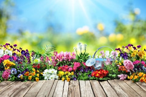 Jardim Florido