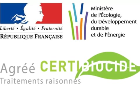 problèmes de nuisibles problèmes de nuisibles problèmes de nuisibles problèmes de nuisibles