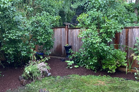 mulched garden bed