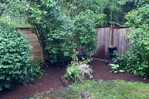 Mulched area