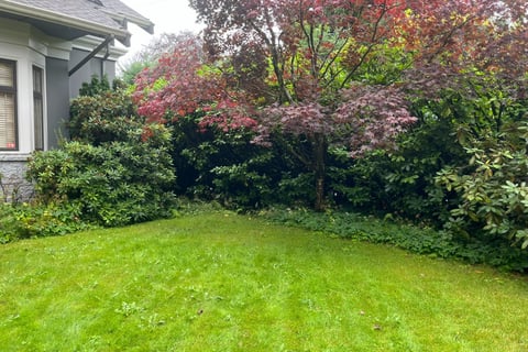 Wide shot of lawn and garden beds