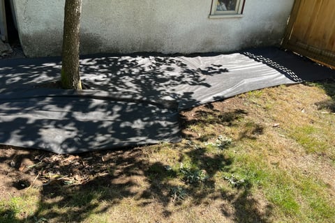 Weed Matted Bed