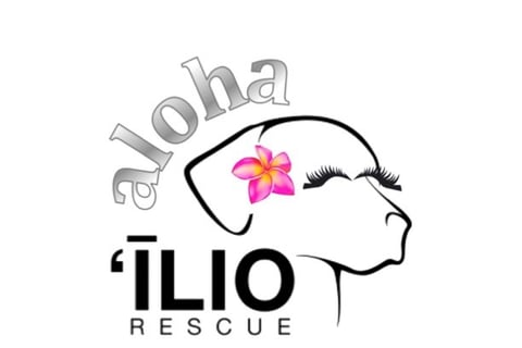 a logo for a flo rescue rescue