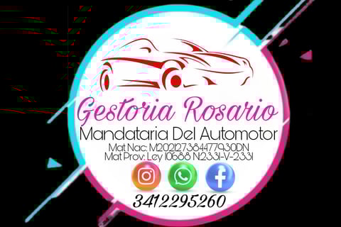 MANDATARIA DEL AUTOMOTOR
