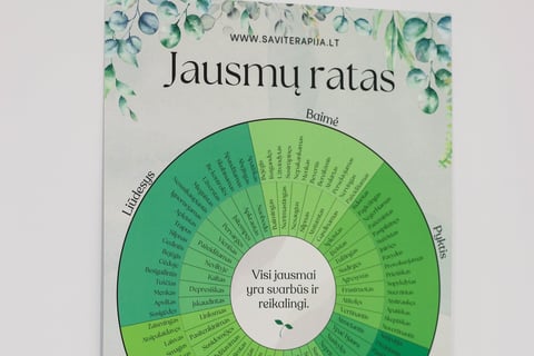 Emocijų ir jausmų ratas
