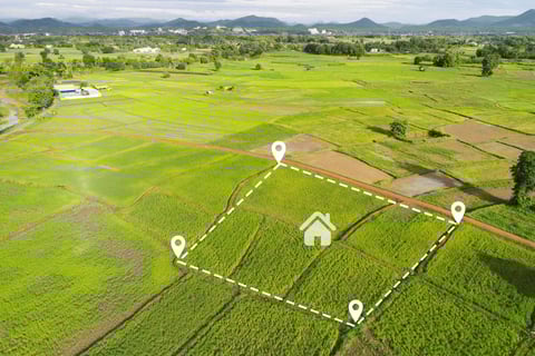 a farm land with a house and a lot of land for sale