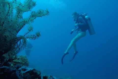 Rescue dive course session in Bali #RescueDive #PADIArabic