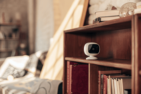 A budget-friendly pet camera placed on a shelf in a cozy home.