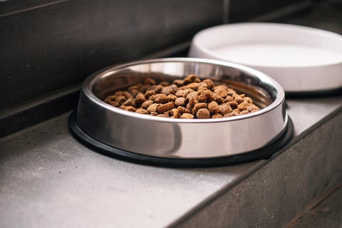 A cat bowl filled with high-quality, balanced dry and wet food.
