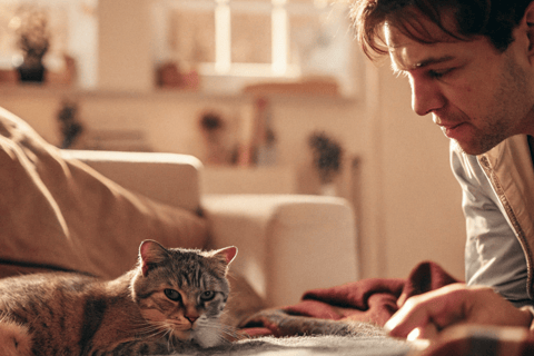 Owner watching their cat for behavioral changes.