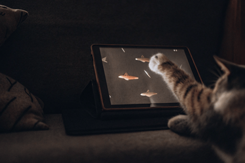 A curious cat pawing at a tablet screen showing a fish game.