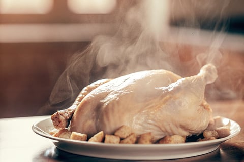 A dish of freshly cooked chicken prepared for a cat's meal.