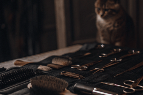 A grooming table with a cat and grooming supplies arranged neatly.