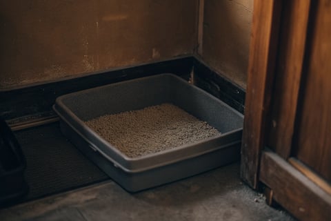 A large litter box with fine-grain, unscented litter placed in a corner.